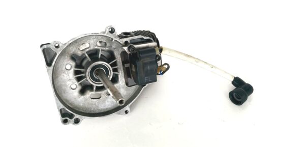 MOTOR ZA BOČNO MOTORNO KOSO - slika 2