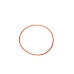 ORING LOMBARDINI LDW1603